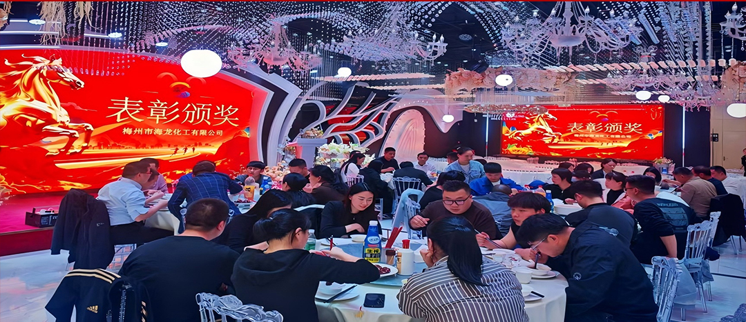 騏驥開(kāi)道,奮進(jìn)新篇 | 海龍化工2025年終工作總結(jié)表彰暨團(tuán)年晚宴圓滿落幕
